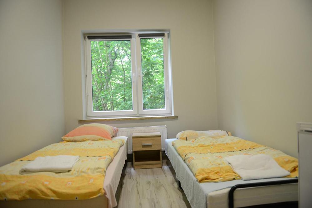 Auberge de jeunesse Zacisze Lesne à Lidzbark Warmiński Extérieur photo